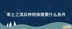 率土之滨兵种转换需要什么条件