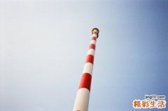 3 五款开胃泡菜速成腌制方法