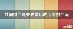 共同财产是夫妻婚后的所有财产吗