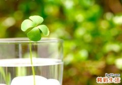 孕妈心理调养有什么技巧