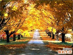 老年痴呆有哪些表现？