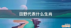 田野代表什么生肖