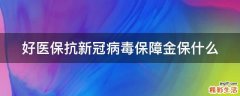 好医保抗新冠病毒保障金保什么