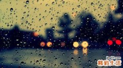 3 中药解酒方助你喝酒不失态