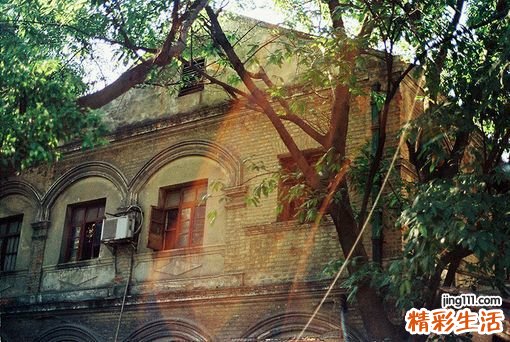 2 香菇油菜的家常做法