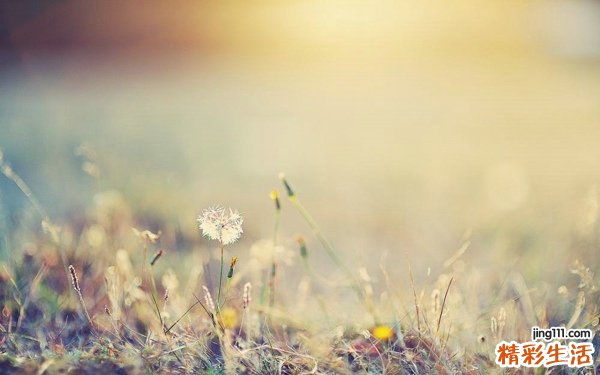 如何检查阴道炎