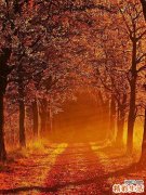 面瘫可以吃天麻吗