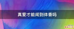 真爱才能闻到体香吗
