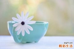白茶适合什么人喝