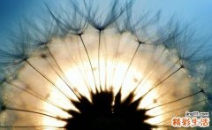 小儿感冒后肚子疼查查B超