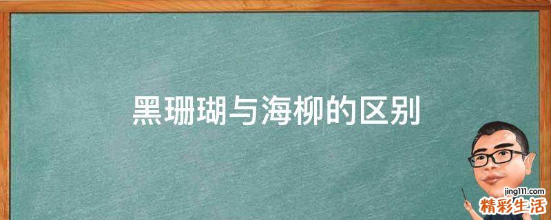 黑珊瑚与海柳的区别