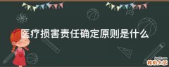 医疗损害责任确定原则是什么