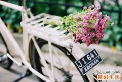 中医偏方治疗夏季上火牙痛
