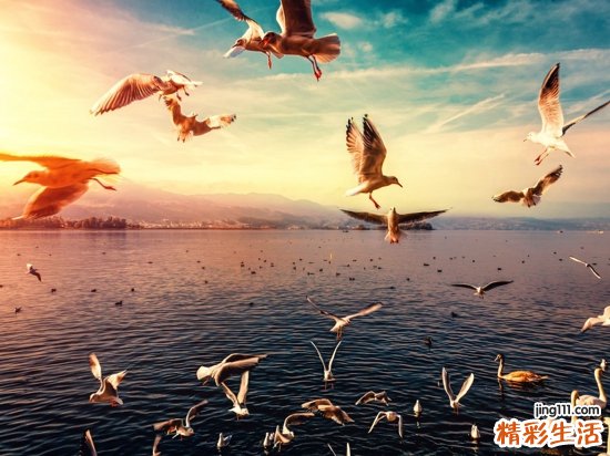 宝宝吃东西卡住如何急救