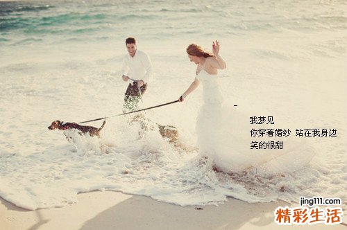 阿胶能治疗失眠吗