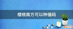 樱桃南方可以种植吗
