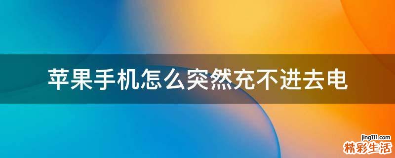苹果手机怎么突然充不进去电