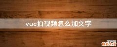 vue拍视频怎么加文字
