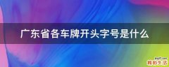 广东省各车牌开头字号是什么