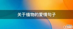 关于植物的爱情句子