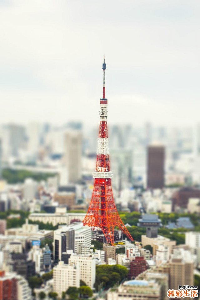 老年人心理问题中药调治