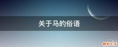 关于马的俗语