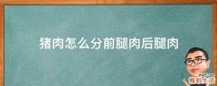 猪肉怎么分前腿肉后腿肉