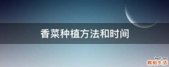 香菜种植方法和时间