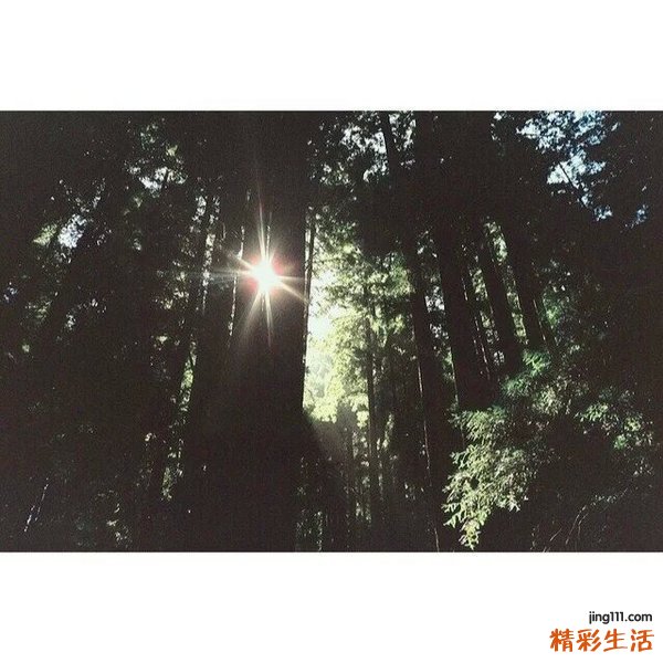 肝炎共有多少种