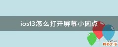 ios13怎么打开屏幕小圆点