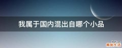 我属于国内混出自哪个小品
