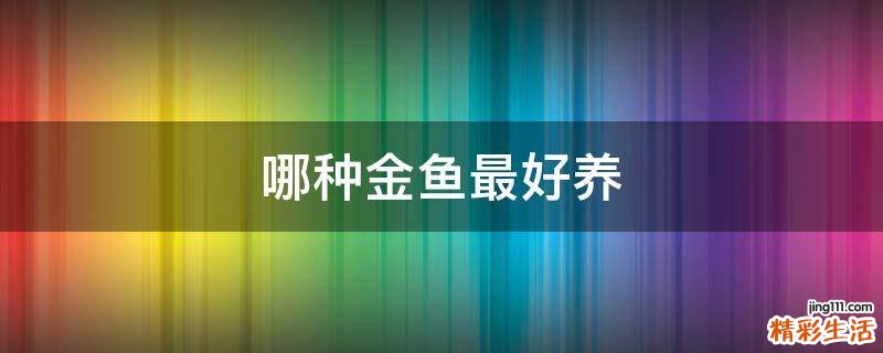 哪种金鱼最好养
