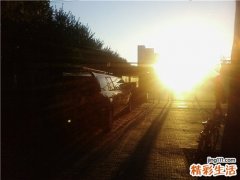 如何诊断胃泌素瘤？