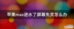 蘋果max進水了屏幕失靈怎么辦