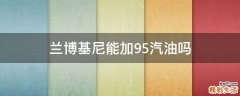 兰博基尼能加95汽油吗