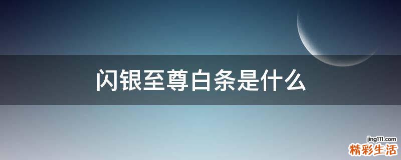 闪银至尊白条是什么