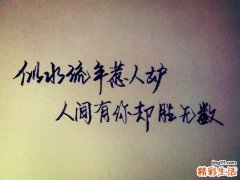 6 和田玉枣的功效与作用