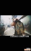 单核细胞偏高怎么回事