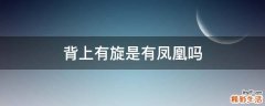 背上有旋是有凤凰吗