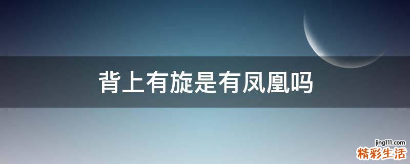 背上有旋是有凤凰吗