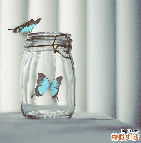 药草茶搭配中药一起喝效果更佳