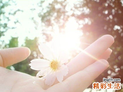 2 蜂蜜柚子茶的四种做法