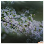 肛瘘手术后便血正常吗