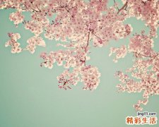 肾癌的特点及诊断