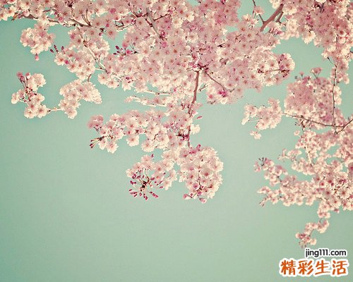 肾癌的特点及诊断