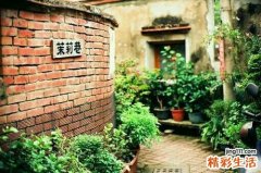 中药治疗胆汁反流性胃炎
