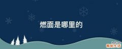 燃面是哪里的