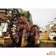 胃扭转的急性与慢性分类