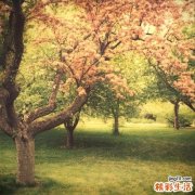 常见重金属中毒——镍