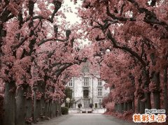 冬季推拿的好处